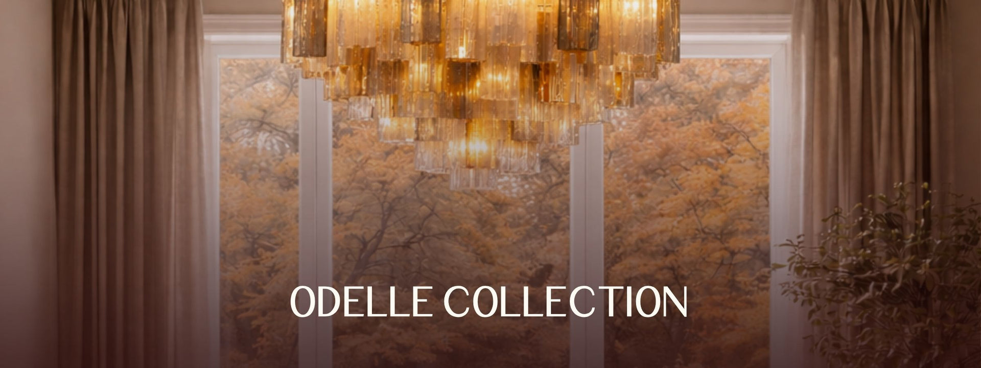 Odelle Collection