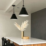 Keenan Collection - 1 Light - Chandelier - Matte Black Frame