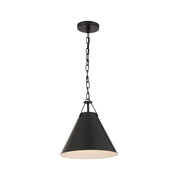 Keenan Collection - 1 Light - Chandelier - Matte Black Frame