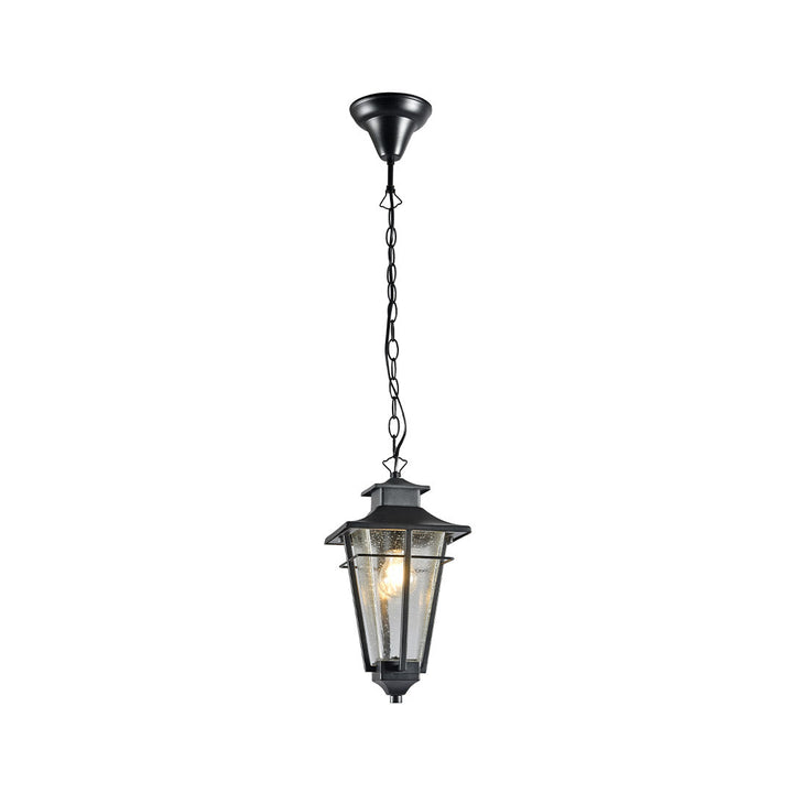 Vista Collection Outdoor Pendant - Black